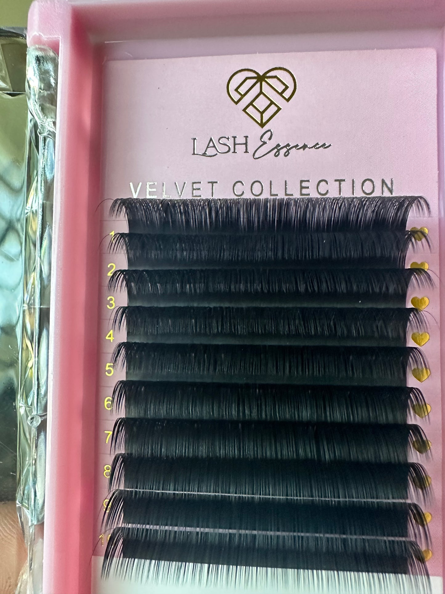 Lash Trays